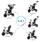Zenvora™ FamilyRide Premium Dreirad